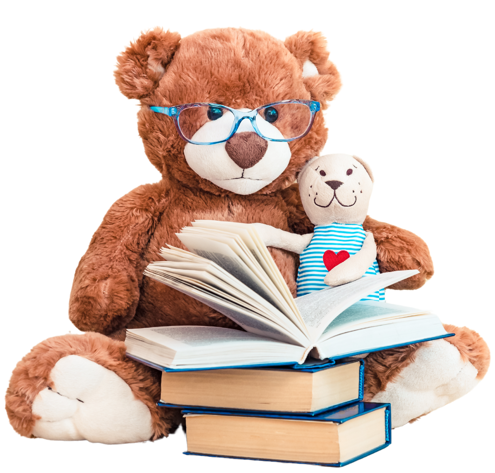 Teddy bear with glasses reading books