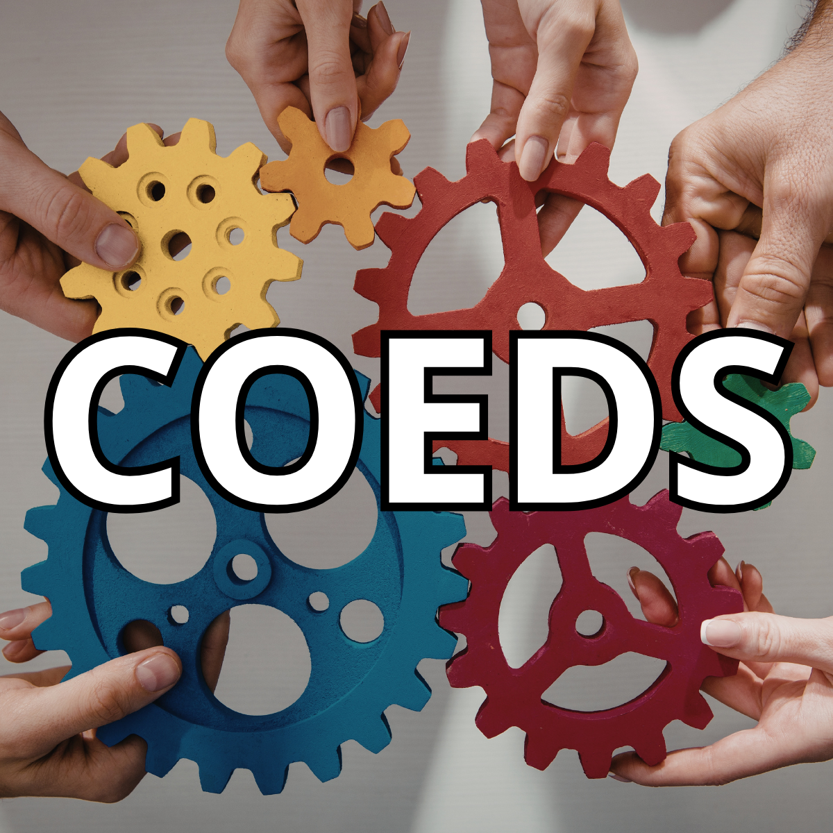 Image of gears, hands and the acronym COEDS Image of gears, hands and the acronym COEDS